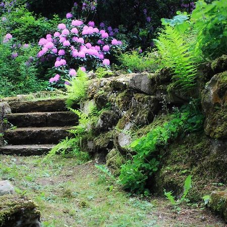 Villa Brodthage, App. 1 Walkenried Kültér fotó